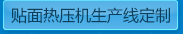 貼面熱壓機(jī)生產(chǎn)線定制